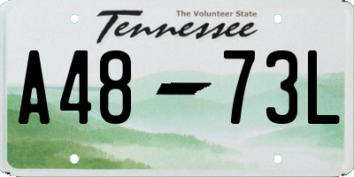 TN license plate A4873L