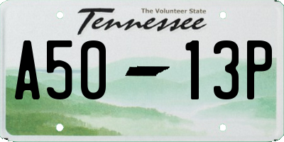 TN license plate A5013P