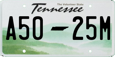 TN license plate A5025M