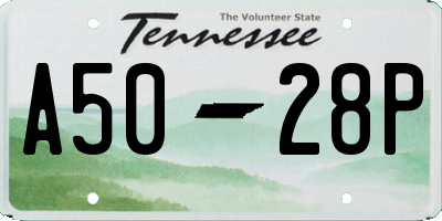 TN license plate A5028P