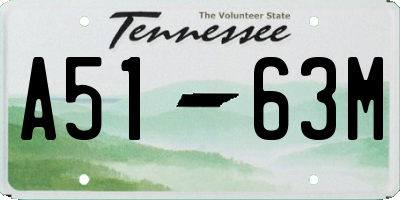 TN license plate A5163M