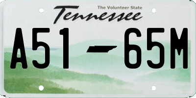 TN license plate A5165M