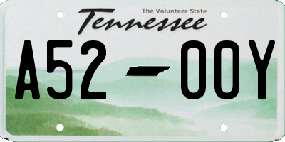 TN license plate A5200Y