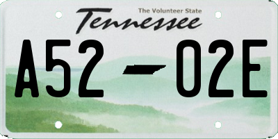 TN license plate A5202E
