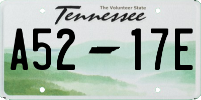 TN license plate A5217E