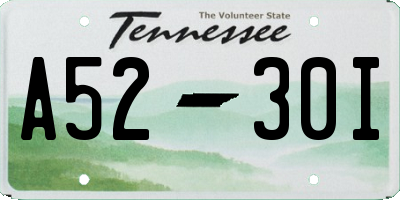 TN license plate A5230I