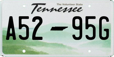 TN license plate A5295G
