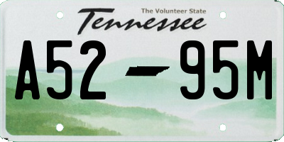 TN license plate A5295M