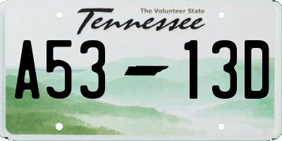 TN license plate A5313D
