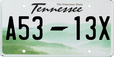 TN license plate A5313X