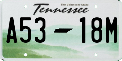 TN license plate A5318M