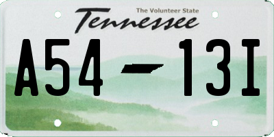 TN license plate A5413I