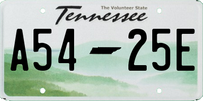 TN license plate A5425E