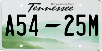 TN license plate A5425M