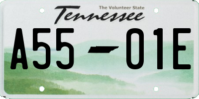 TN license plate A5501E