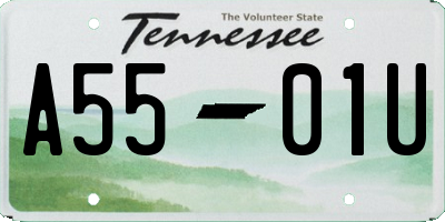 TN license plate A5501U