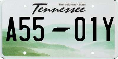 TN license plate A5501Y