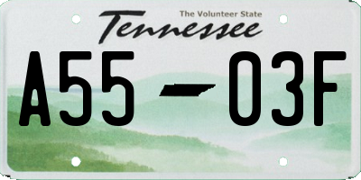 TN license plate A5503F