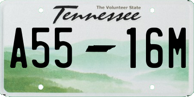 TN license plate A5516M