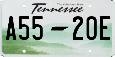 TN license plate A5520E