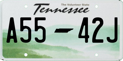TN license plate A5542J