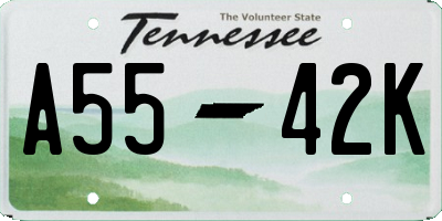 TN license plate A5542K
