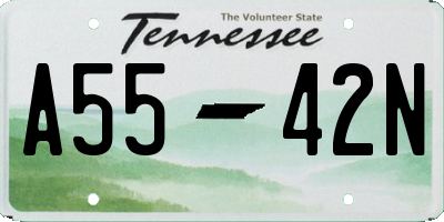 TN license plate A5542N