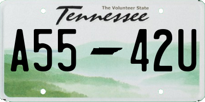 TN license plate A5542U