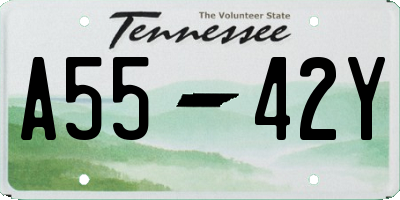 TN license plate A5542Y