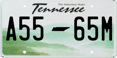 TN license plate A5565M