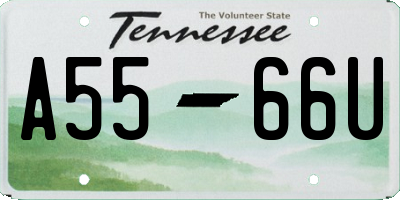 TN license plate A5566U