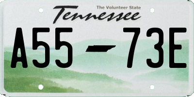 TN license plate A5573E