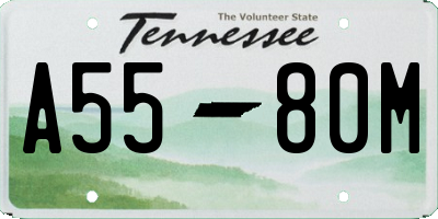 TN license plate A5580M