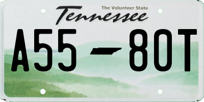 TN license plate A5580T