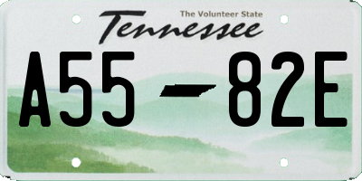 TN license plate A5582E