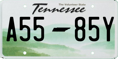 TN license plate A5585Y