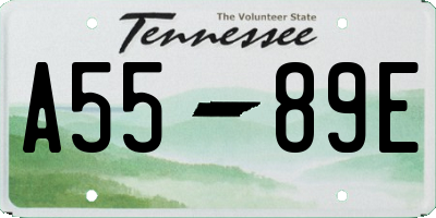 TN license plate A5589E