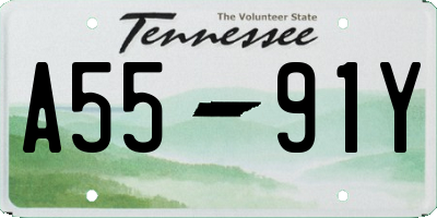 TN license plate A5591Y