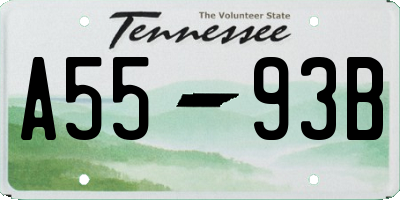 TN license plate A5593B
