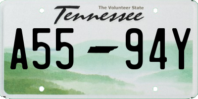 TN license plate A5594Y
