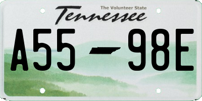 TN license plate A5598E