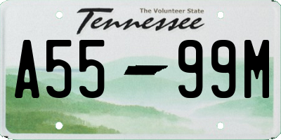 TN license plate A5599M