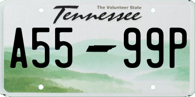 TN license plate A5599P