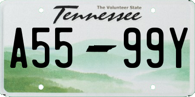 TN license plate A5599Y