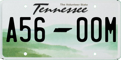 TN license plate A5600M