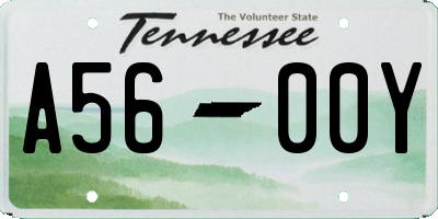 TN license plate A5600Y