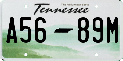 TN license plate A5689M