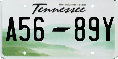 TN license plate A5689Y