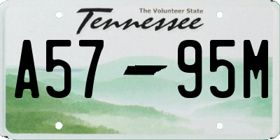 TN license plate A5795M