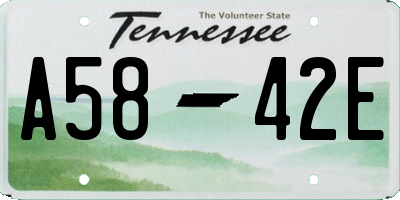 TN license plate A5842E